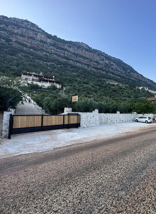 Istlada Tas Ev Apart - Kekova View Kapakli Exterior photo